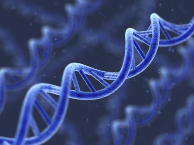 Science Study Confirms That Friends Share DNA | Truth Inside Of You