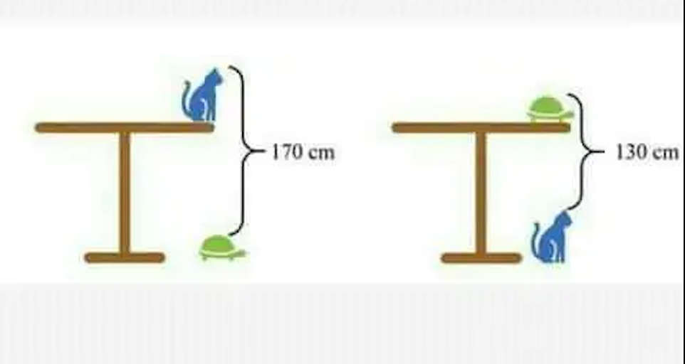 Can you find the height of the table?