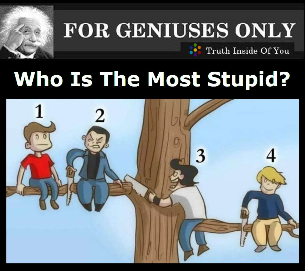 Who Is The Most Stupid?