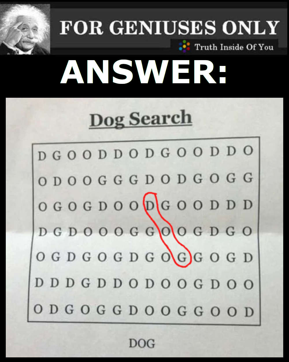 Dog Riddle ANSWER