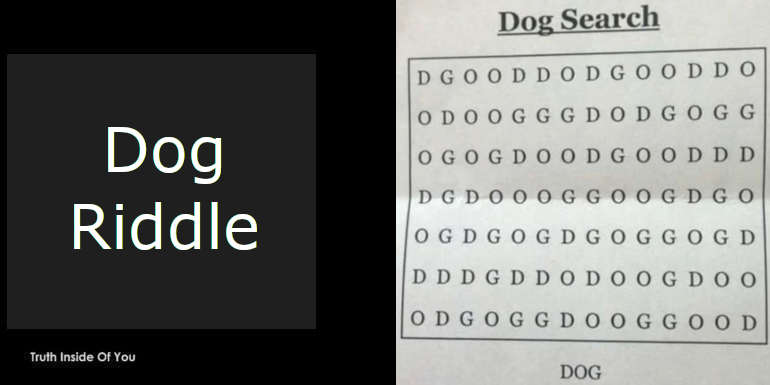 Dog Riddle featured