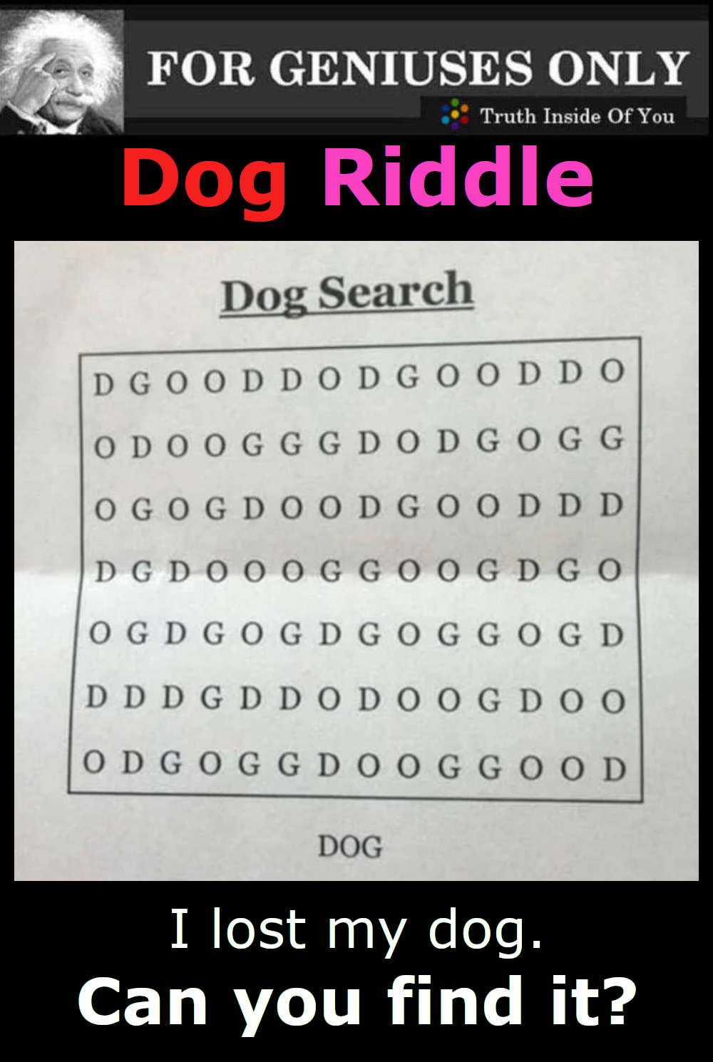 Dog Riddle