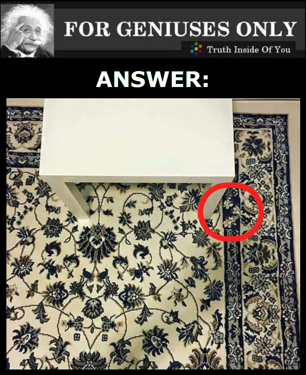 Find The Hidden Phone ANSWER