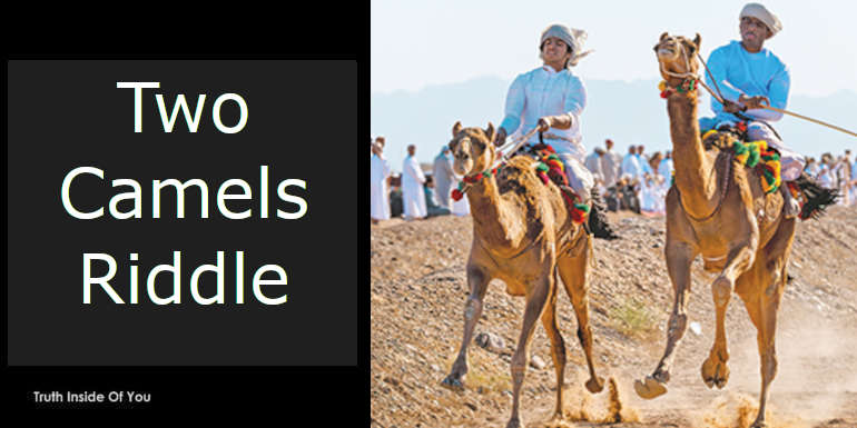 Two Camels Riddle featured