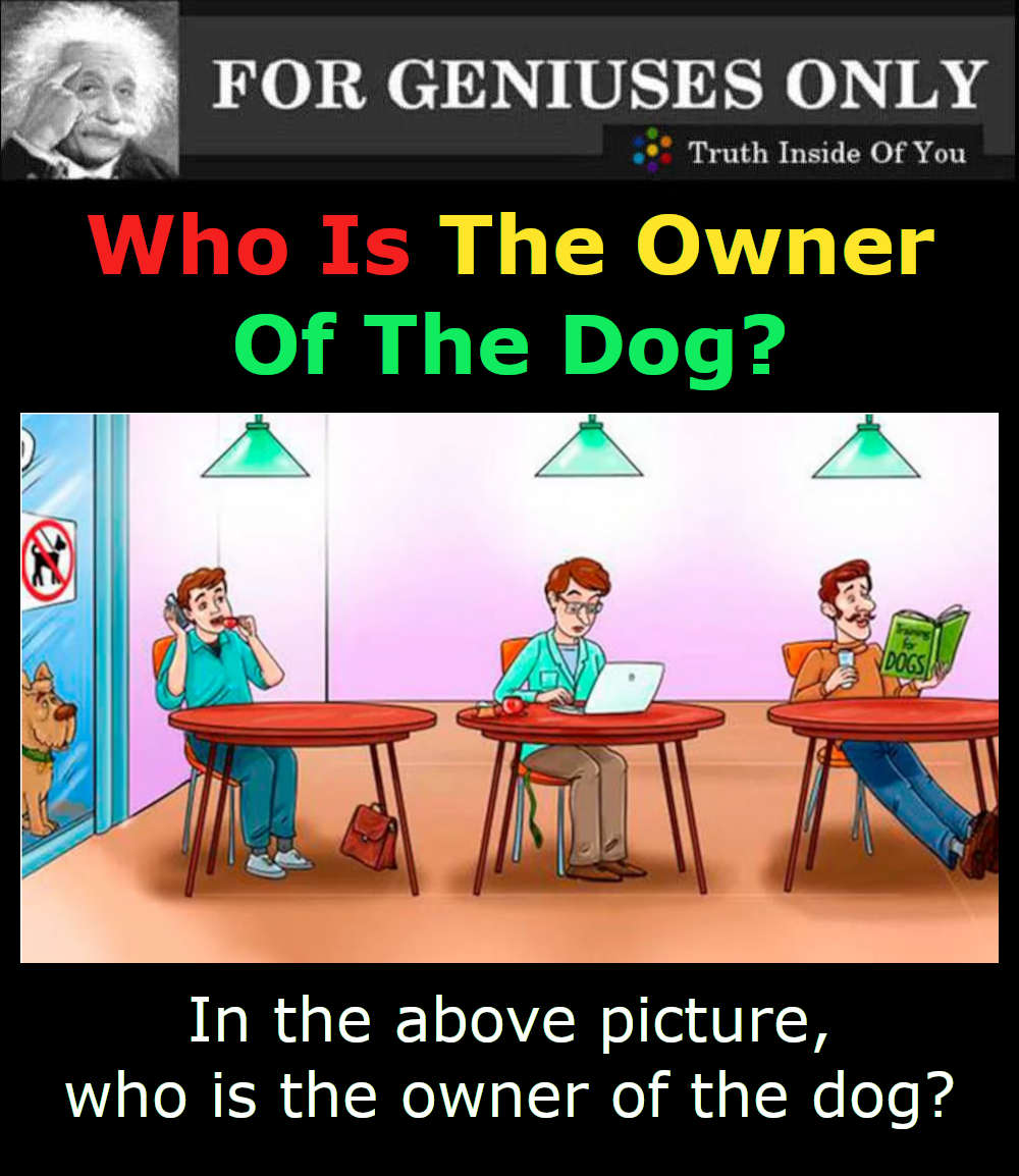 Who Is The Owner Of The Dog?