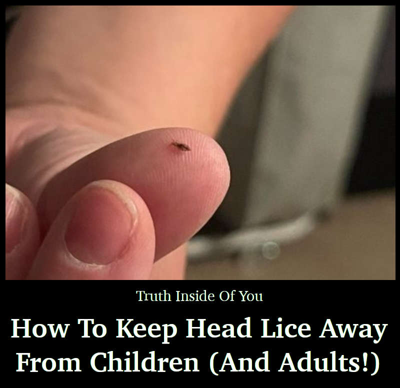 How To Keep Head Lice Away From Children (And Adults!)