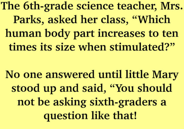 JOKE- The 6th-grade Science Teacher, Mrs. Parks