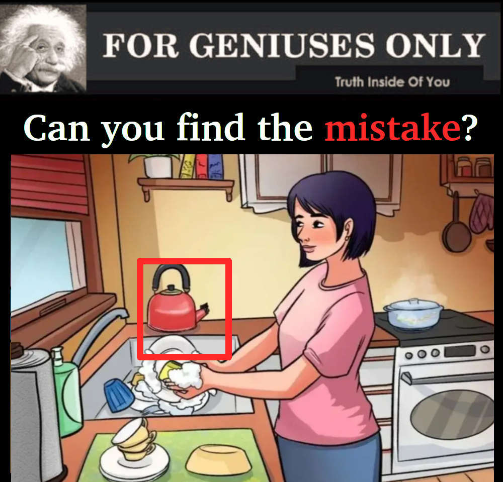 RIDDLE: Spot The Mistake In The Kitchen answer