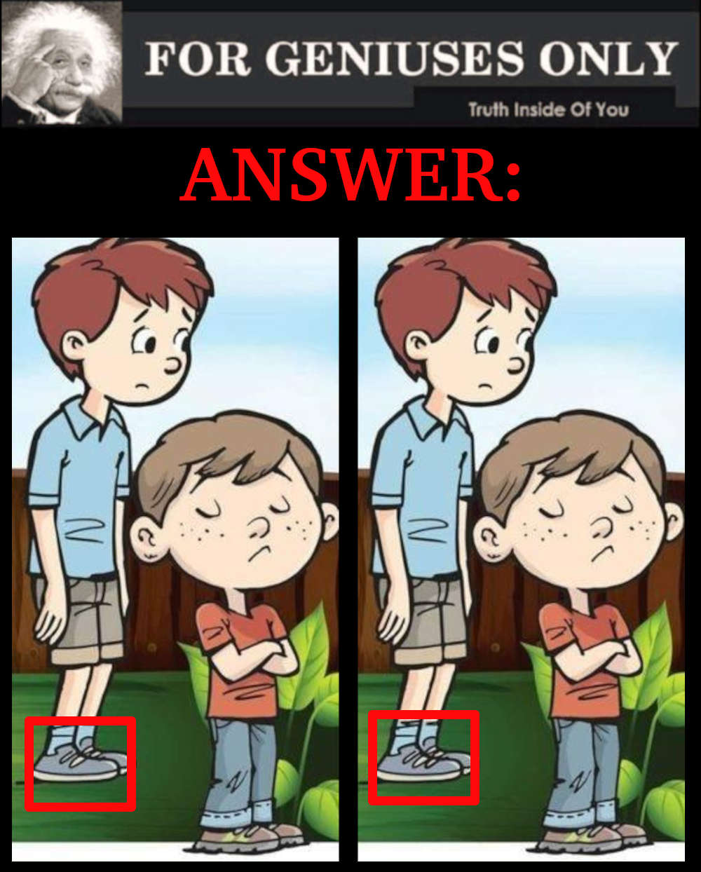 RIDDLE- Spot the Difference Answer