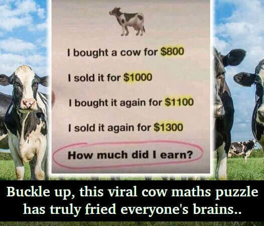 RIDDLE- The Cow Math Puzzle