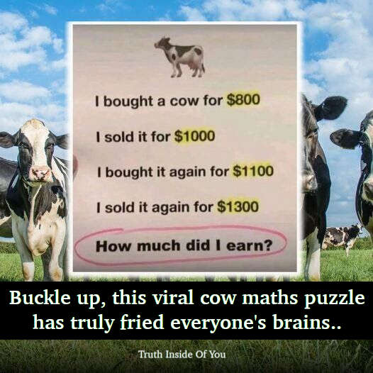 RIDDLE- The Cow Math Puzzle