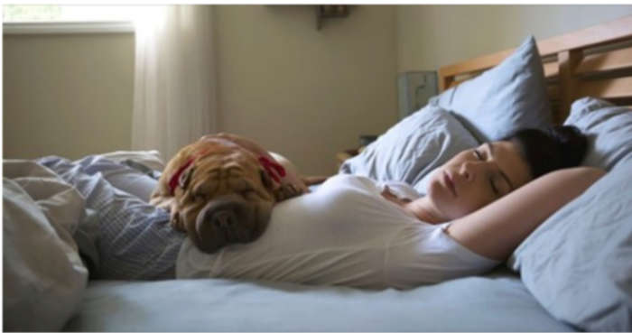 Science Shows That Women Sleep Better Next To Dogs Than Men