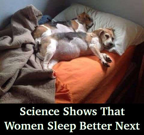 Science Shows That Women Sleep Better Next To Dogs Than Men