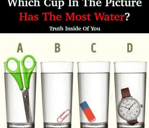 Which Glass Contains The Largest Amount Of Water?