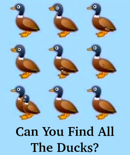 Can You Find All the Ducks