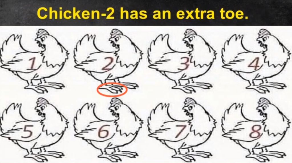 RIDDLE- Nobody Can Determine Which Chicken Is Different 1