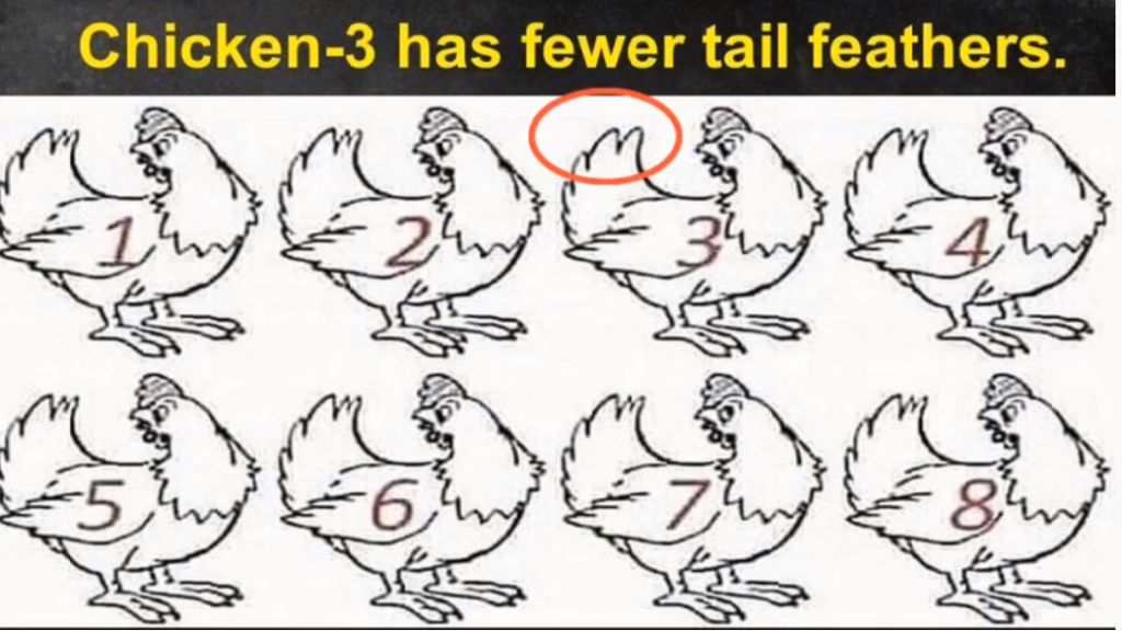 RIDDLE- Nobody Can Determine Which Chicken Is Different 2