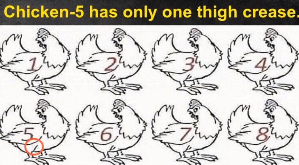 RIDDLE- Nobody Can Determine Which Chicken Is Different 3