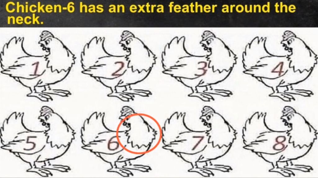 RIDDLE- Nobody Can Determine Which Chicken Is Different 4