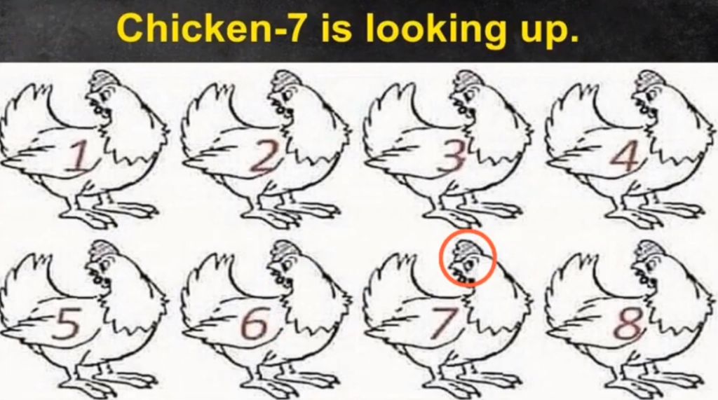 RIDDLE- Nobody Can Determine Which Chicken Is Different 5