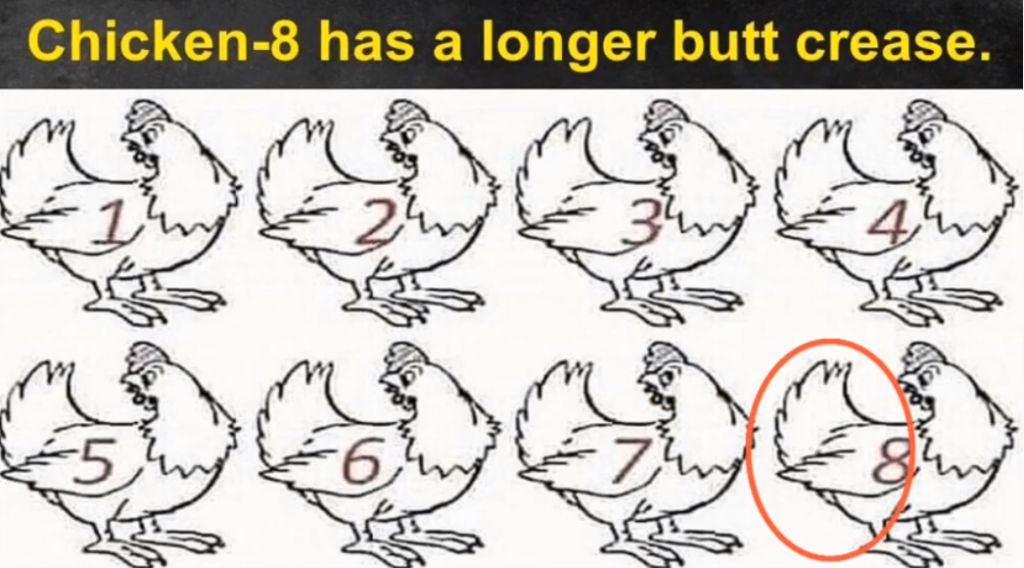 RIDDLE- Nobody Can Determine Which Chicken Is Different 6