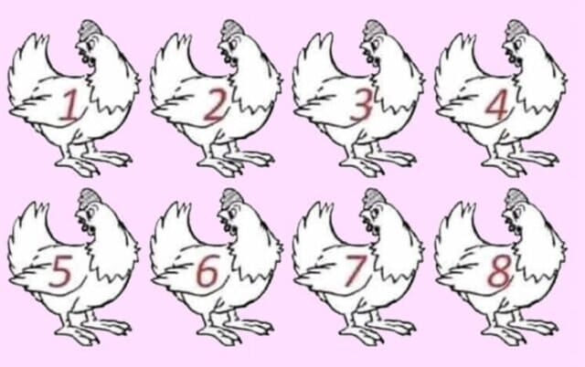 RIDDLE- Nobody Can Determine Which Chicken Is Different