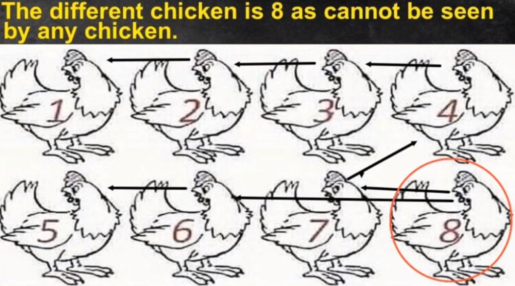 RIDDLE- Nobody Can Determine Which Chicken Is Different 7