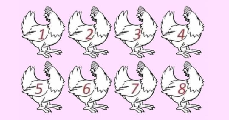 RIDDLE- Nobody Can Determine Which Chicken Is Different