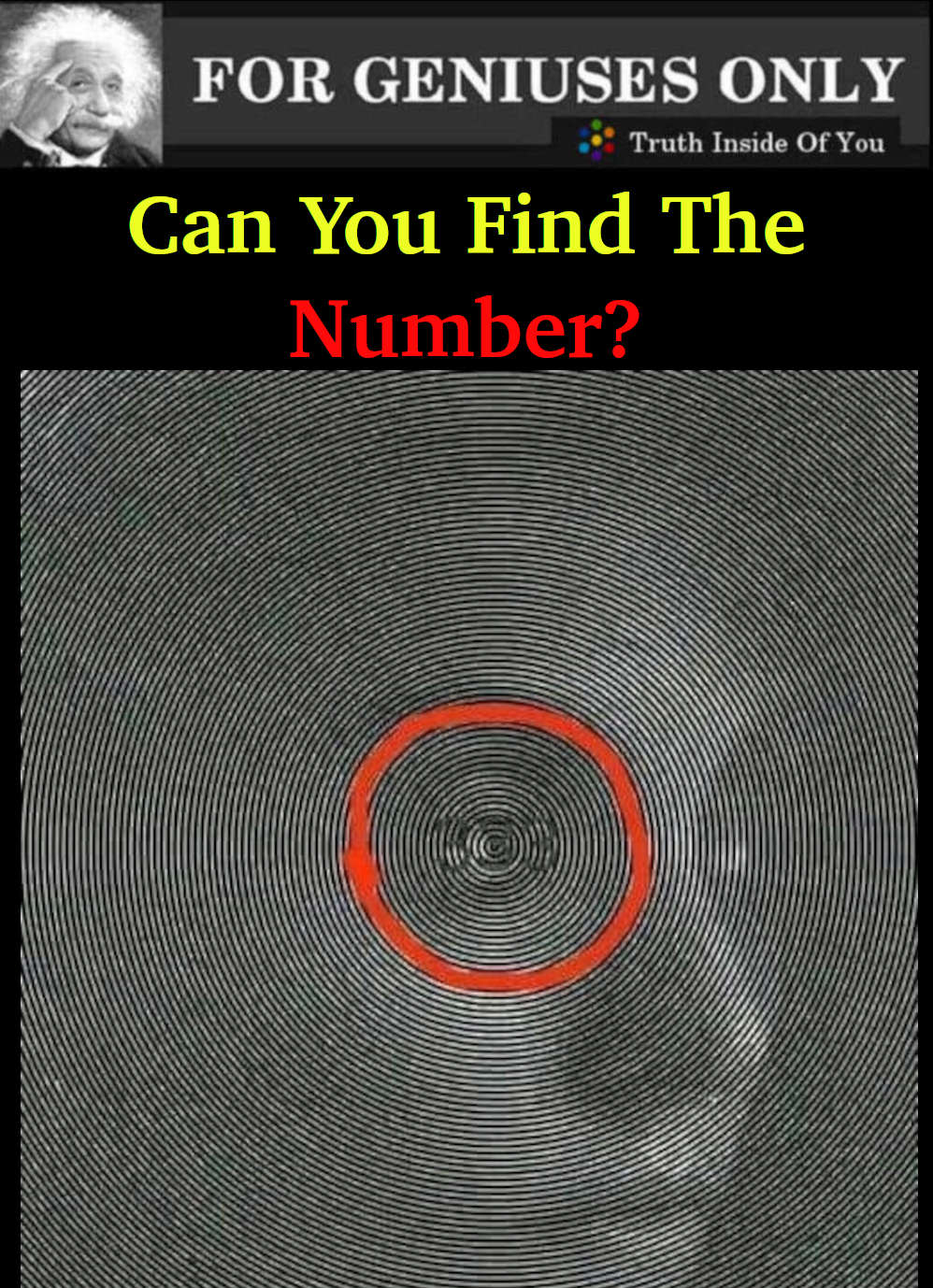 Can You Find The Number